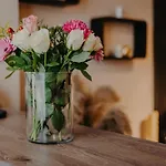 Urban Daire