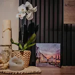 Urban * Temeşvar