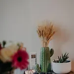 Urban Apartment Timisoara