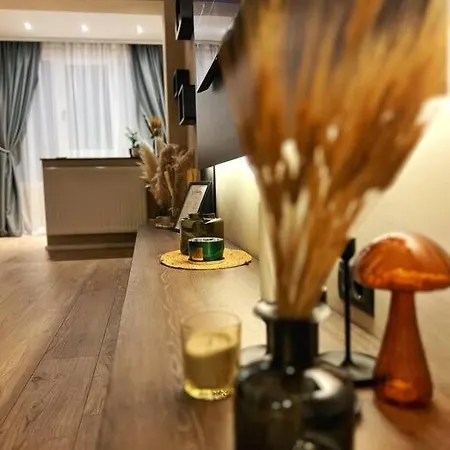 7- A Chic Urban Hideaway, 10min Walk To Center 아파트 티미쇼아라