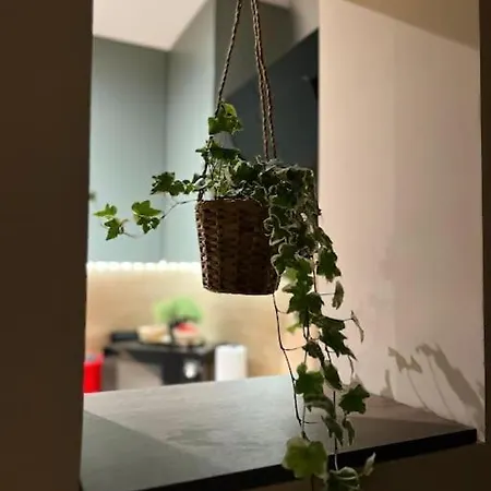 아파트 7- A Chic Urban Hideaway, 10min Walk To Center 티미쇼아라