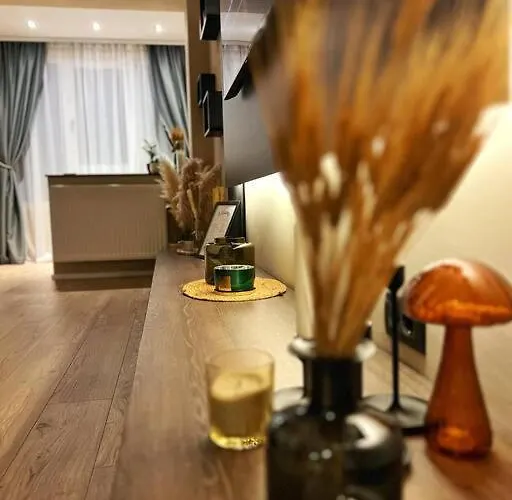 Central Urban Studios Apartment Timisoara