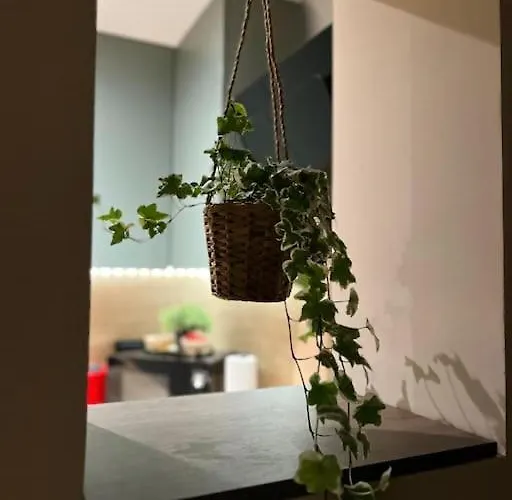 Apartment Central Urban Studios Timisoara