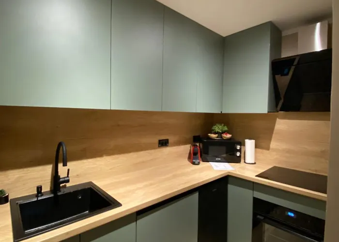 Central Urban Studios Apartment Timisoara