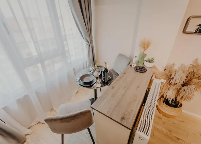 Lägenhet Urban Timişoara