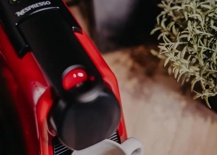 Lägenhet Urban Timişoara