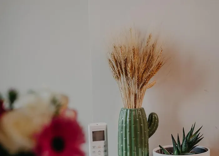 Urban Apartment Timişoara